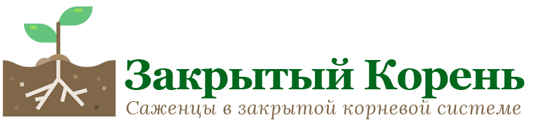 Питомник Закрытый Корень
